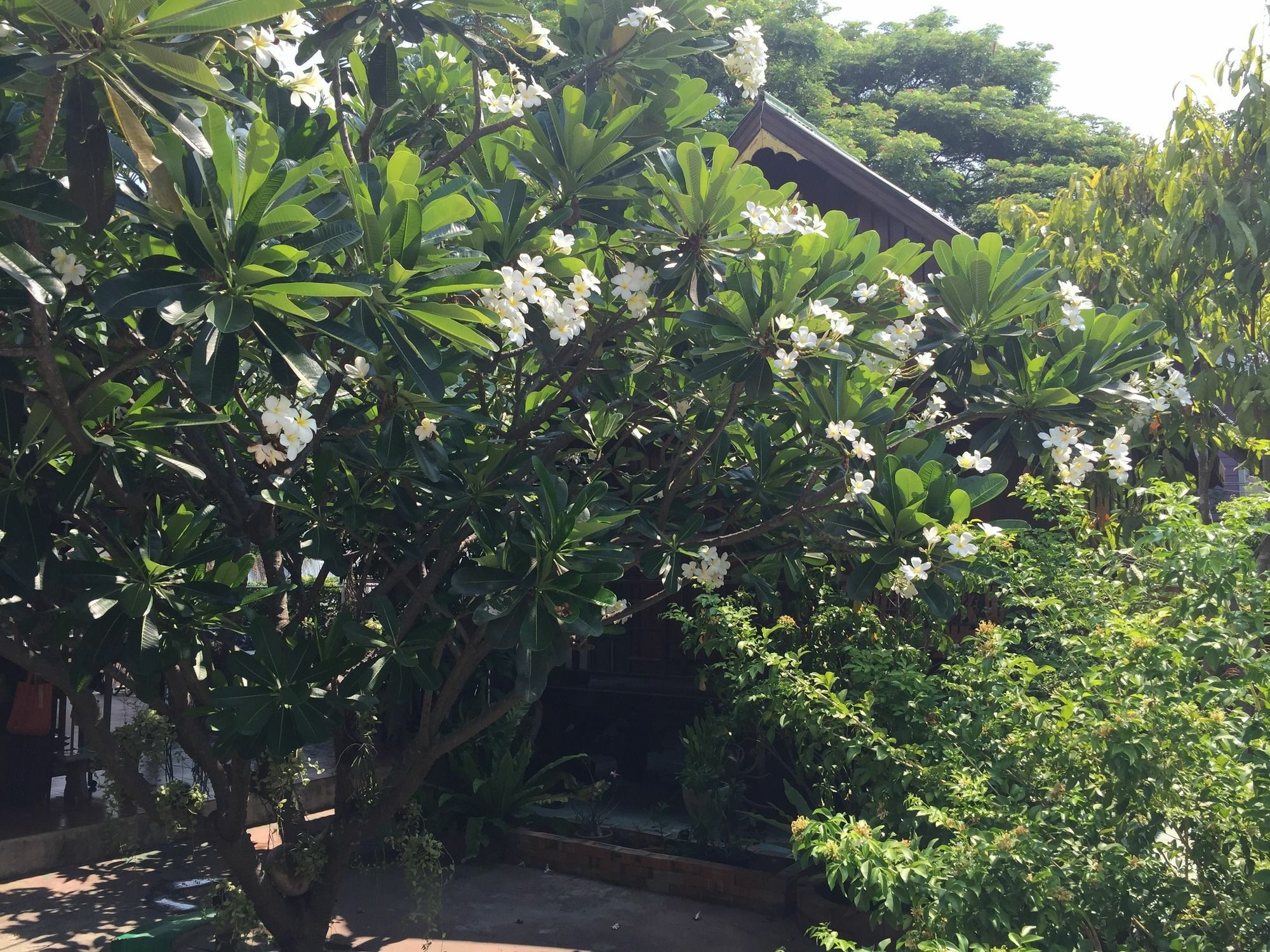 Baan Kong Homestay Ayutthaya Eksteriør billede